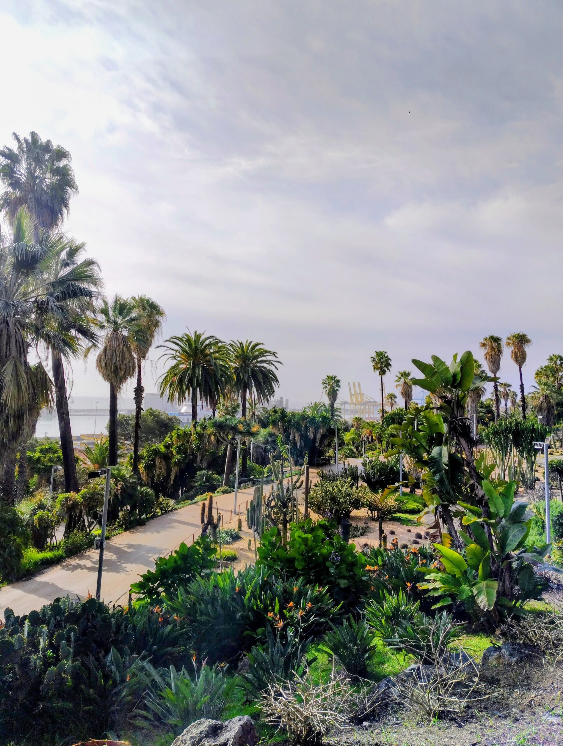 Gardens of Mossen Costa i Llobera from above
