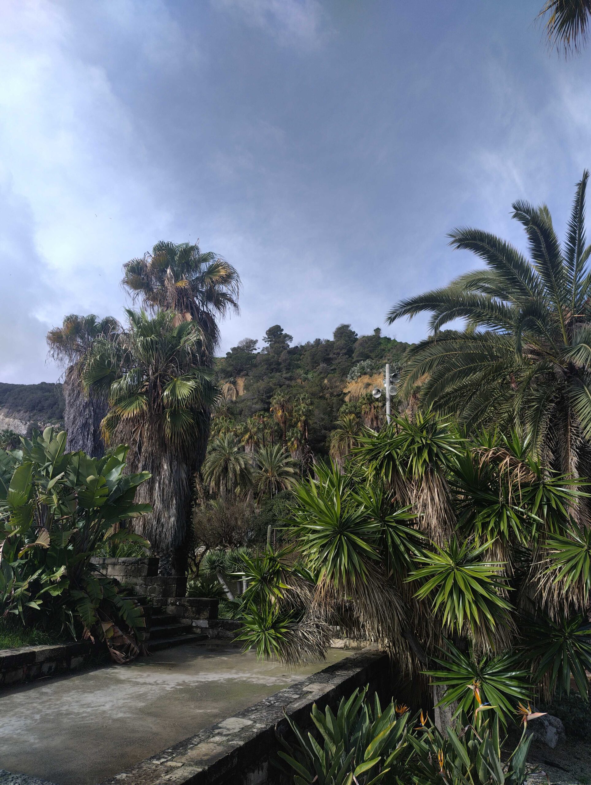 Palm garden terraces